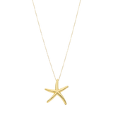 Collar estrella de mar 14K