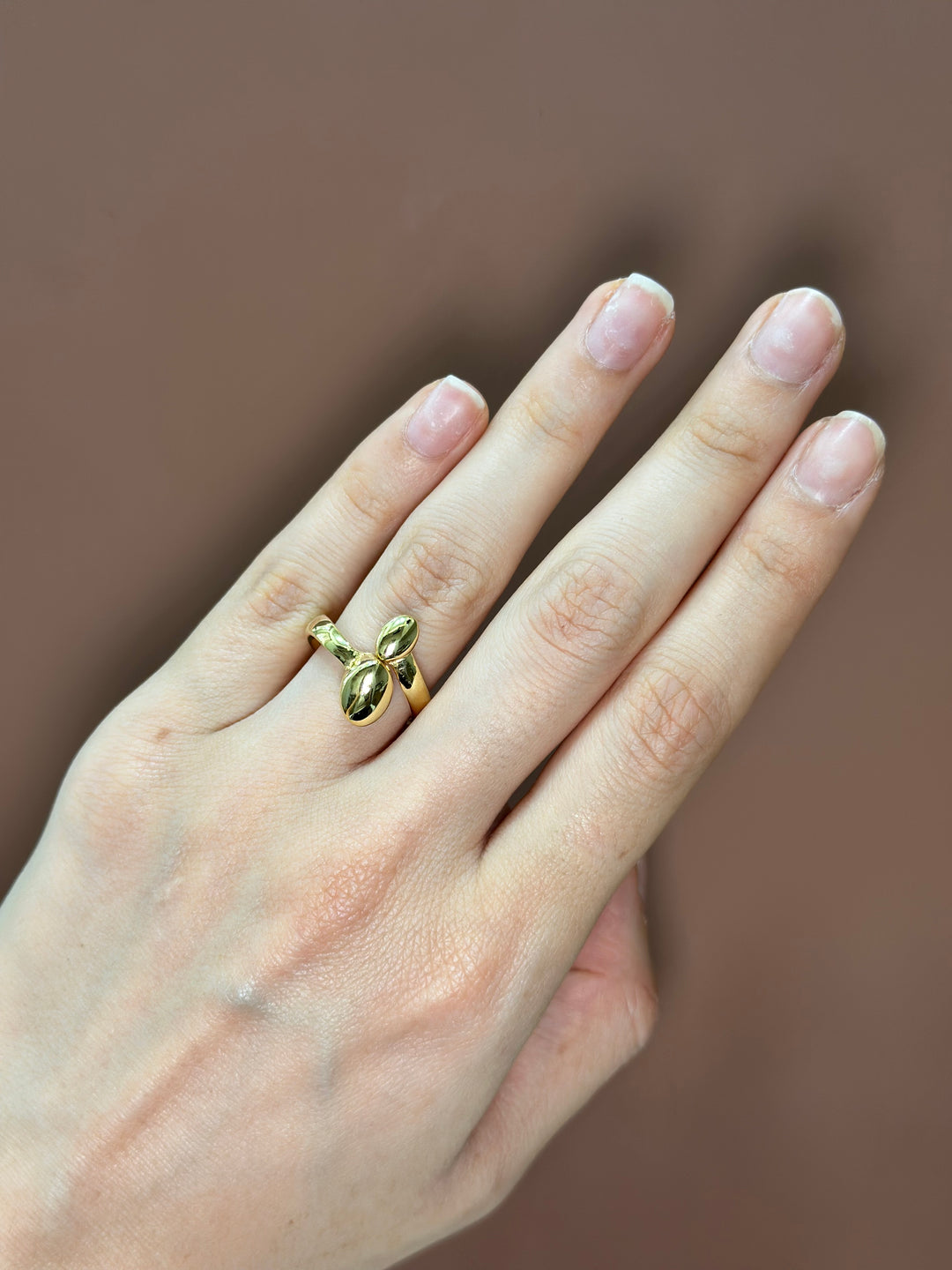 Anillo tu y yo oval 14K