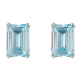 Broquel baguette color grande plata