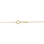 Collar dije circonias blancas 10K