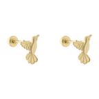 Broquel colibrí 10K