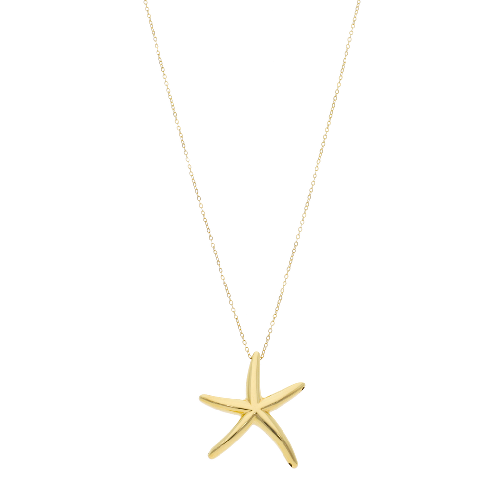 Collar estrella de mar 14K