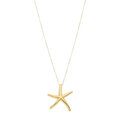 Collar estrella de mar 14K