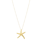 Collar estrella de mar 14K