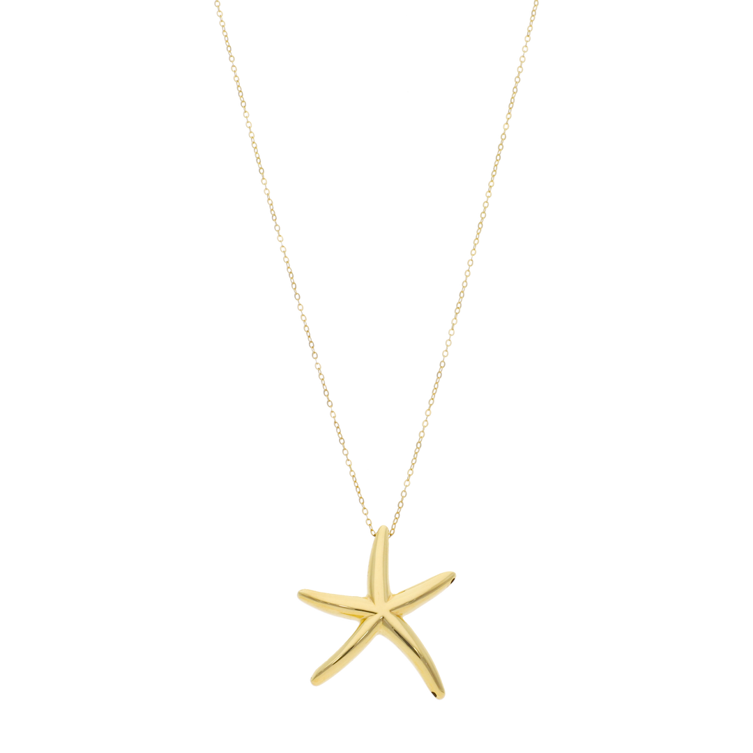 Collar estrella de mar 14K