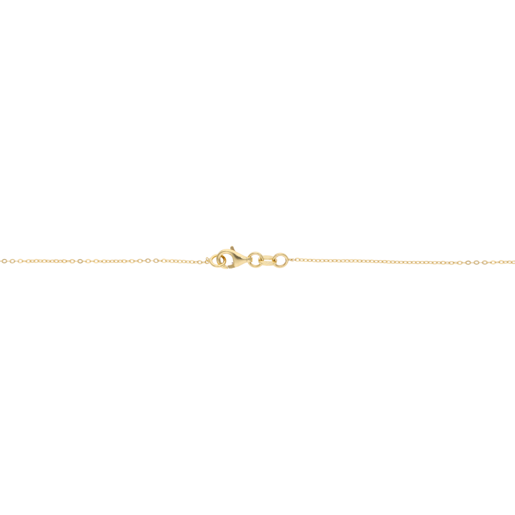 Collar estrella de mar 14K