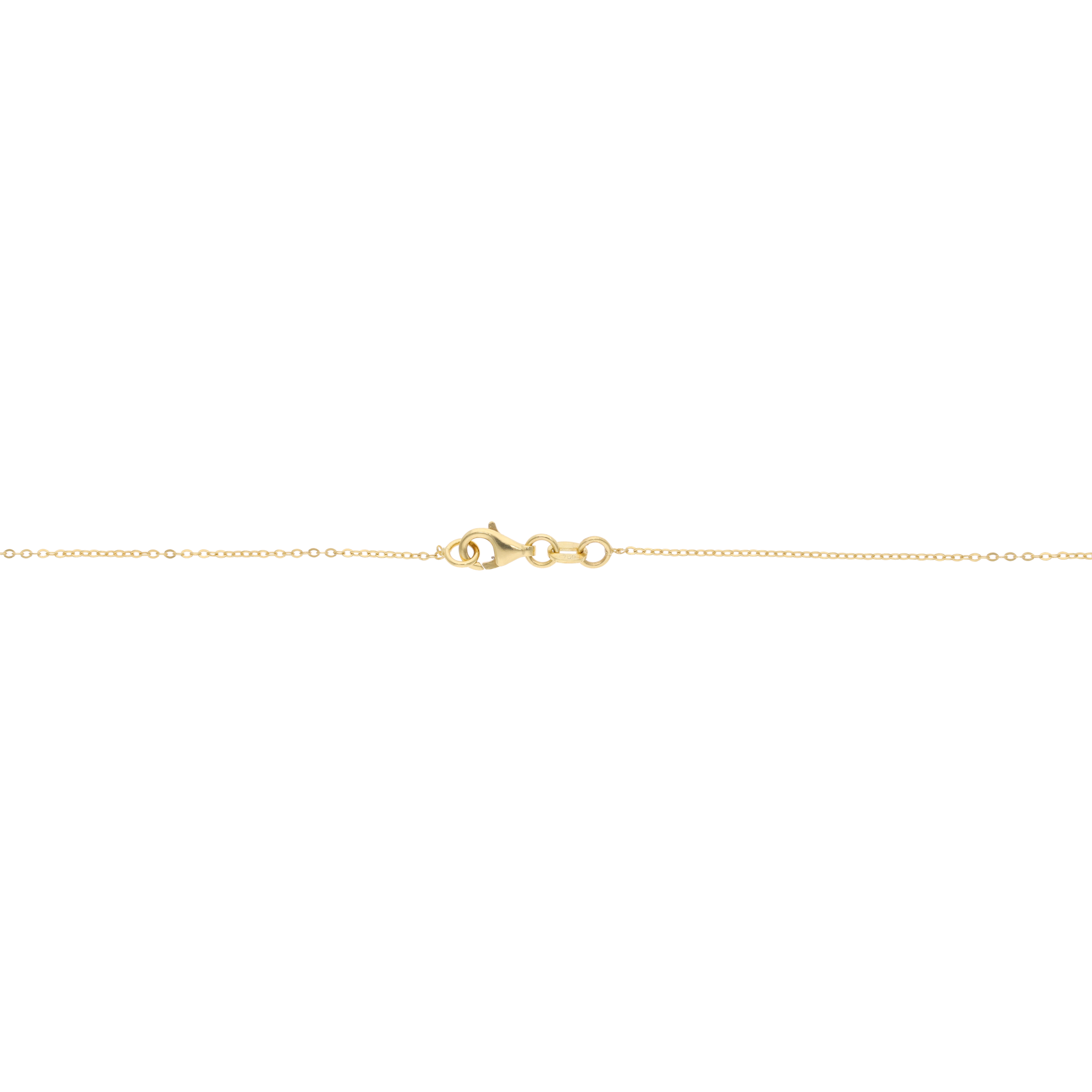 Collar estrella de mar 14K
