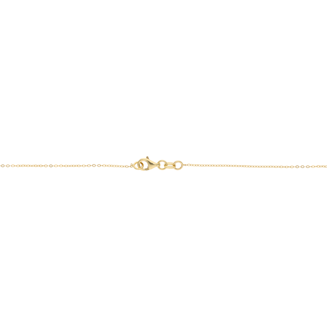 Collar estrella de mar 14K
