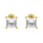 Broquel circonia princess plata