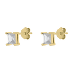 Set circonia princess plata