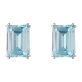 Broquel baguette color grande plata
