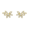 Ear climber multishape marquises circonias plata