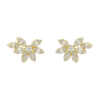 Ear climber multishape marquises circonias plata