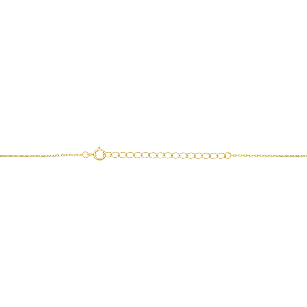 Collar medalla granate Sagrado Corazón plata
