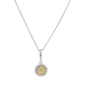 Collar medalla mini Milagrosa bicolor 14K