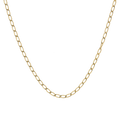 Cadena eslabón semilla oro amarillo 14K