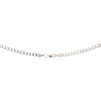 Cadena eslabones plata