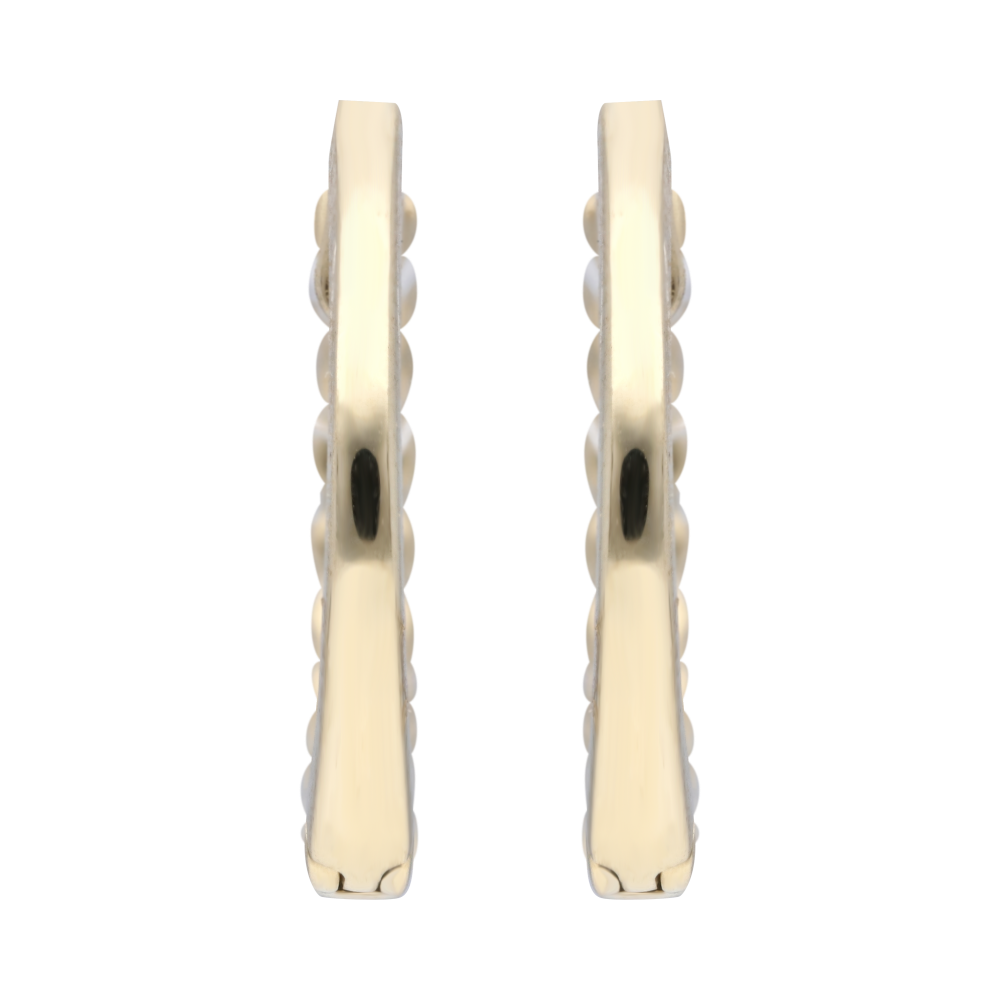 Arracadas 14K brillantes