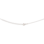 Collar dije estrella de mar