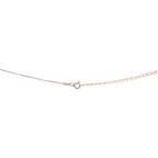 Collar con dije 2 circonias