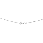 Set broquel y collar corazones plata